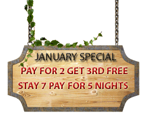 Cabin Specials