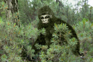 bigfoot